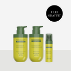 Sampon regenerant Rosemary + Balsam hidratant+ Lotiune indesire par